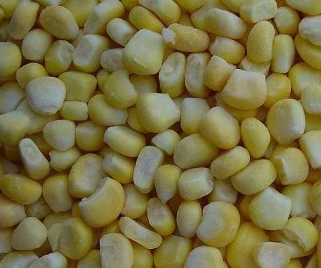 Global B2B directory Global trade lead